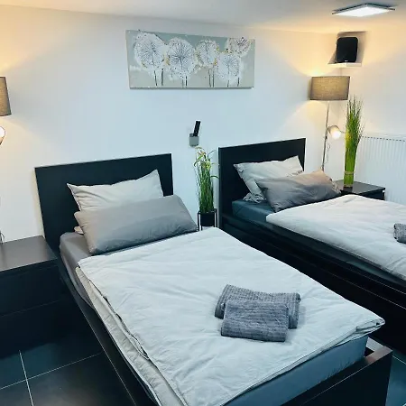 Blauer Stein - Echo Dz01