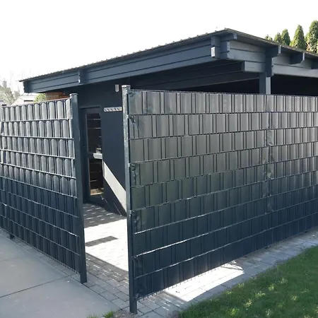 Blauer Stein - Echo Dz01 *