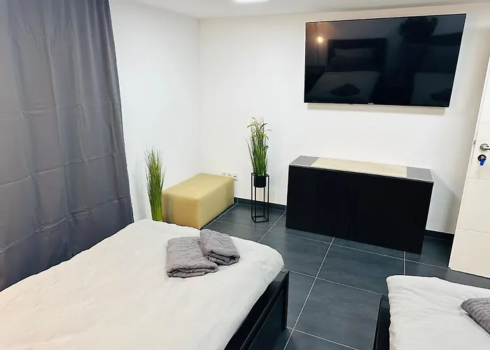 Blauer Stein - Echo Dz01 普尔海姆