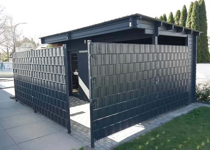 Blauer Stein - Echo Dz01 *